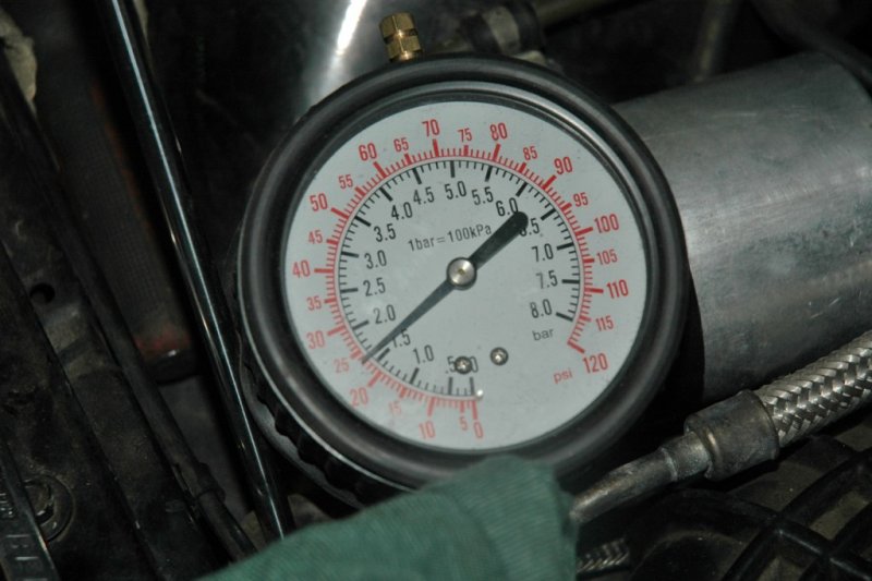 DSC_7882 (1024 x 681).jpg