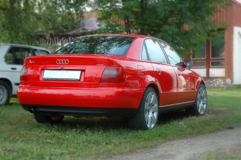 DSC_0109 (Medium).JPG