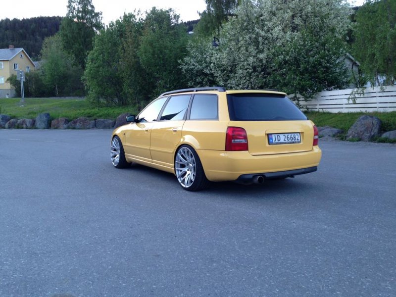 Essvier zito 935-2.jpg