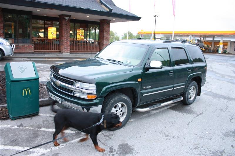 Mandag 18. mai 2009 008 (Medium).jpg