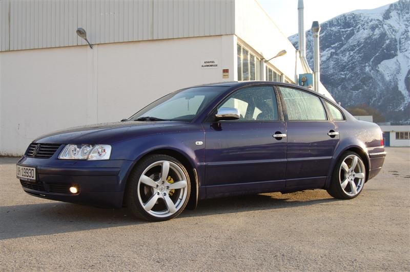 DSC_0038 (Medium).JPG