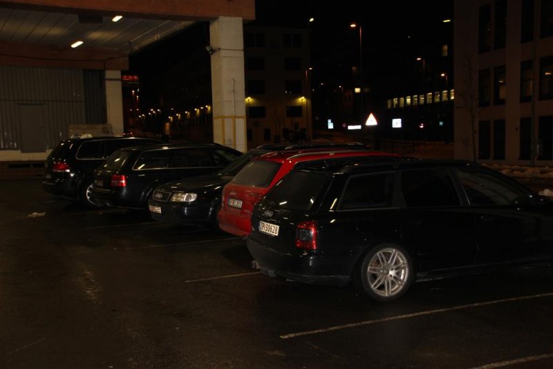 IMG_0847 (Large).JPG