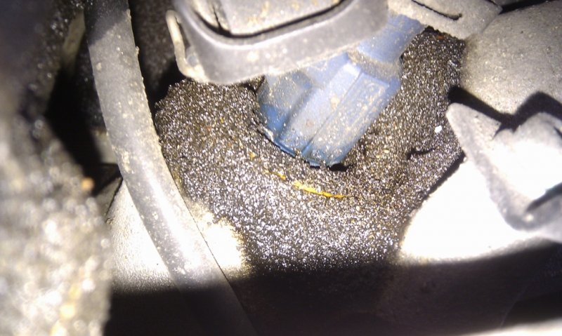 IMAG0197 (1024x613).jpg