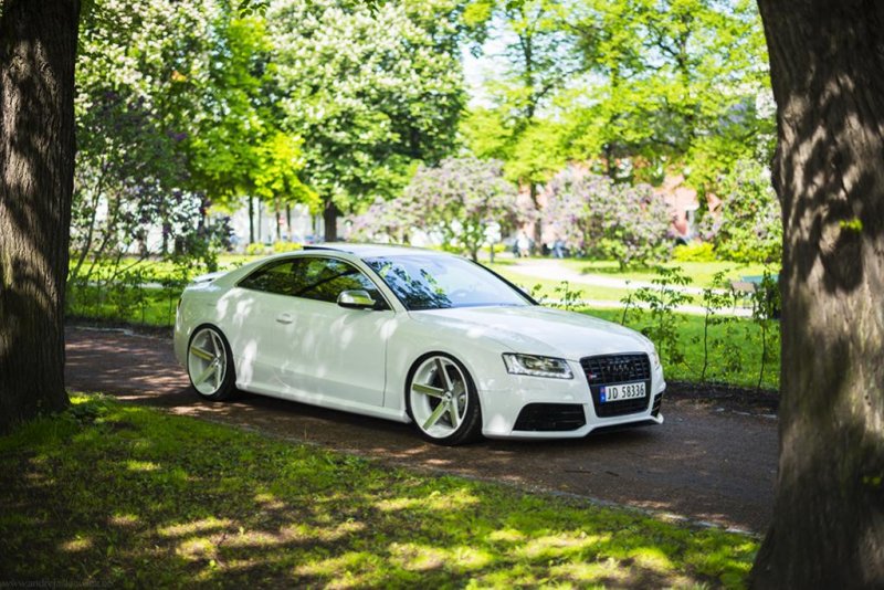 Audi A5 19 Web.jpg