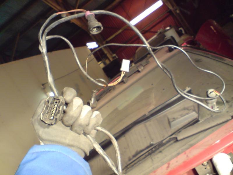 importer 220_800x600.JPG