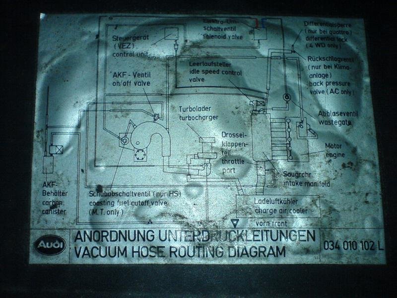 DSC00710 (Medium).JPG