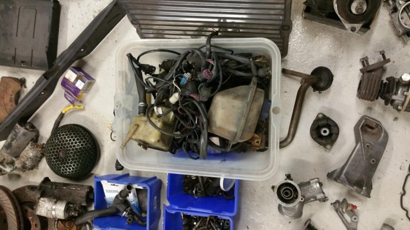 2017-01-09 17.35.16.jpg