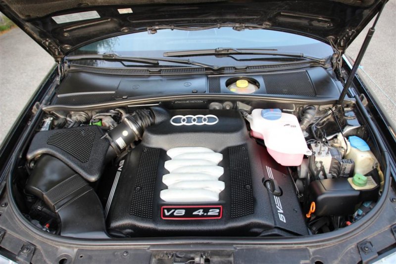 IMG_1830 (Large).JPG