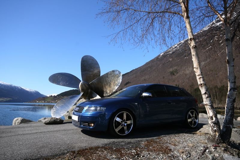 IMG_4148 [800x600].jpg