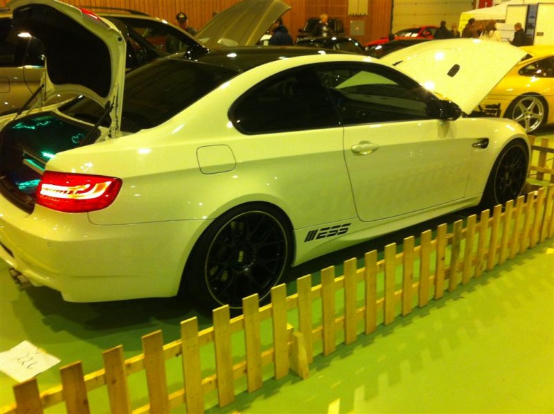 IMG_0780 (Medium).JPG