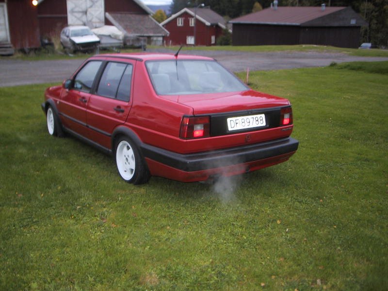 jetta3.jpg