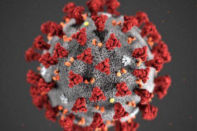korona-virus-foto-fhi_3.jpg