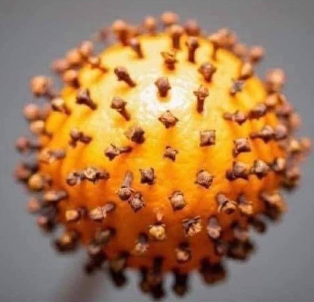 Covid-19_jul (2).jpg