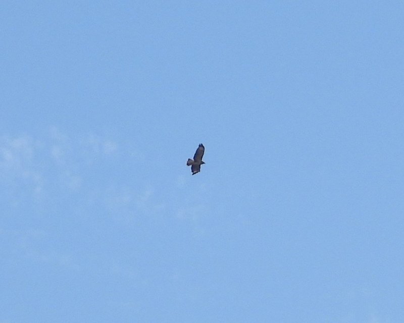 DSCN2968.JPG
